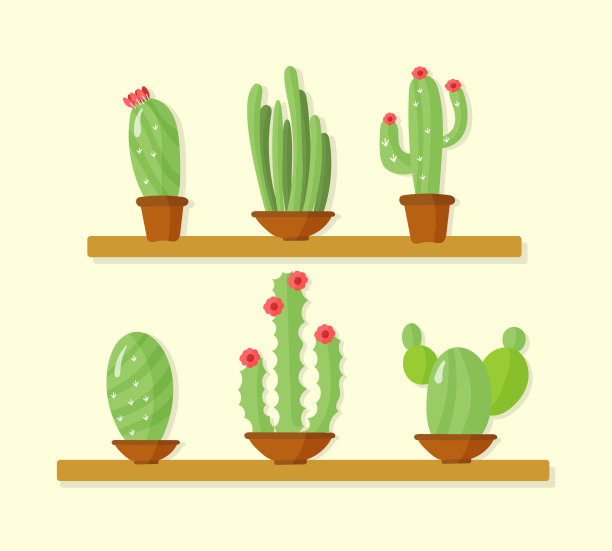 仙人掌房子植物图片下载