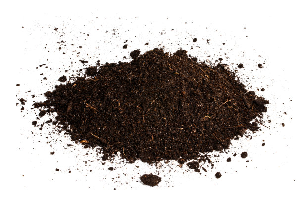 在白色背景上孤立的一堆土壤腐殖质图片下载