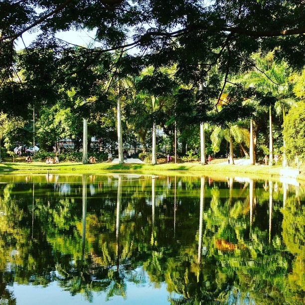 倒影在水中图片下载