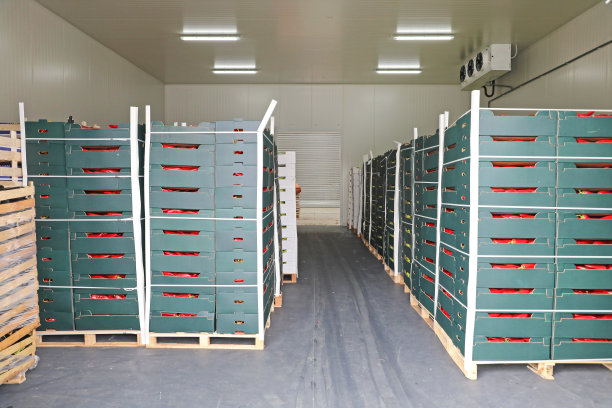 盒子在托盘图片下载