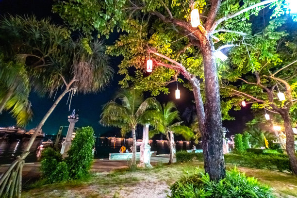 泰国皮皮群岛，夜晚树上挂着五颜六色的彩灯，图片下载