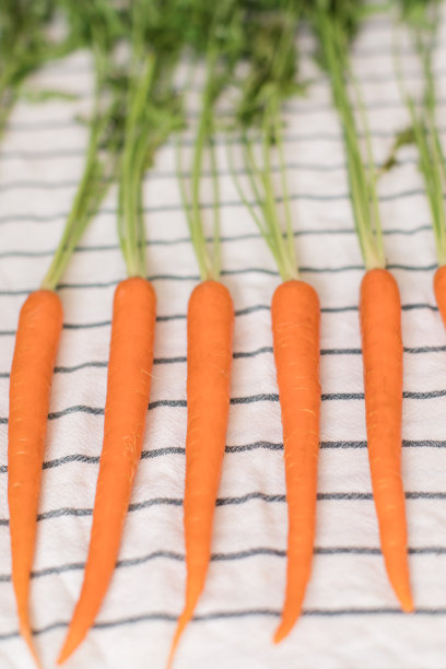 新鲜有机胡萝卜图片下载