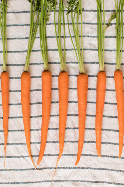 新鲜有机胡萝卜图片下载