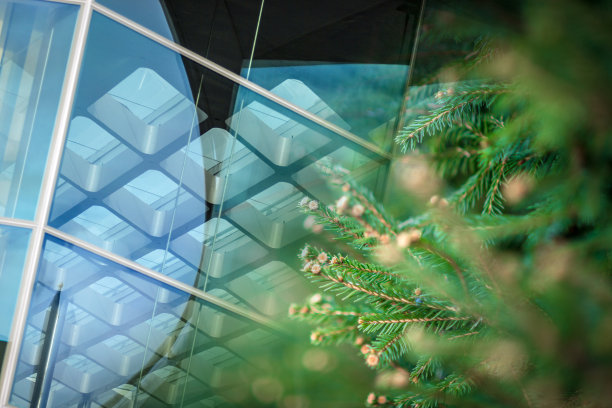 双重曝光:自然与城市建筑，对比，可替代能源城市概念图片下载