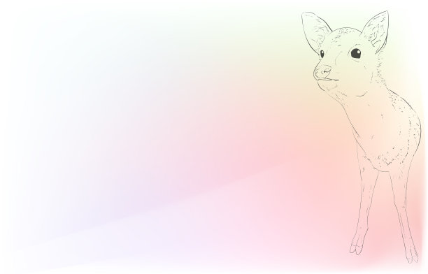 现实动物插图:彩虹色的背景:小鹿向上看图片下载