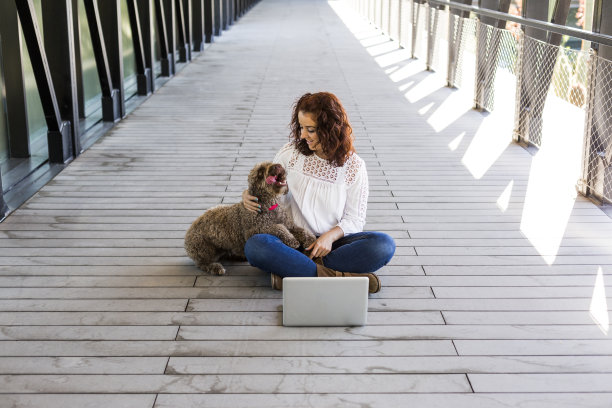 美丽的年轻女子与她的可爱的棕色狗和工作在笔记本电脑上玩。在室内图片下载