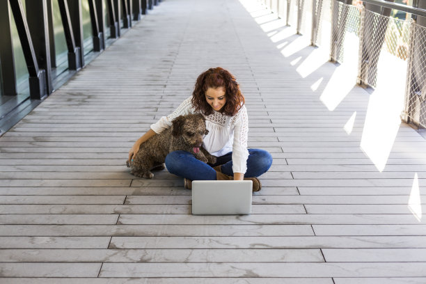 美丽的年轻女子与她的可爱的棕色狗和工作在笔记本电脑上玩。在室内图片下载