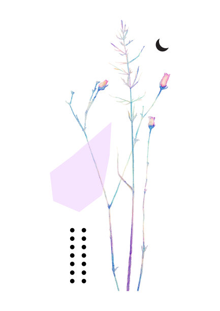 水彩花与几何抽象元素在白色的背景。手绘花卉卡片，海报，印刷设计在最小的风格。水彩画艺术插图图片下载