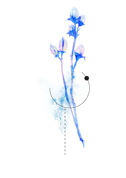 水彩花与几何抽象元素在白色的背景。手绘花卉卡片，海报，印刷设计在最小的风格。水彩画艺术插图图片下载