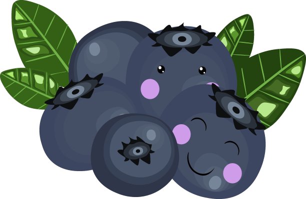 可爱的成熟蓝莓，绿色的叶子，白色的背景图片下载