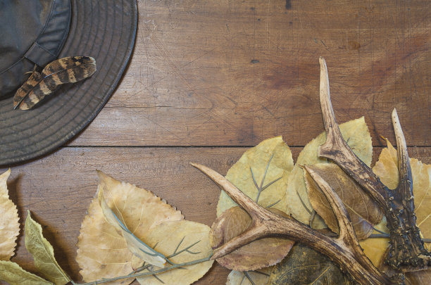 狩猎季节静物图片下载