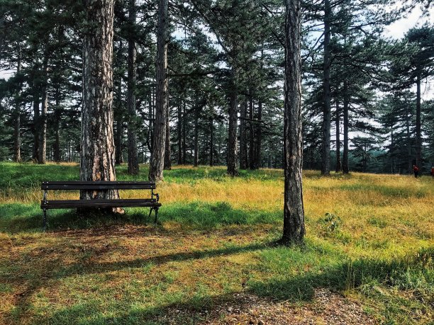 塔拉山的大自然图片下载