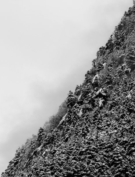 下雪的景色图片下载