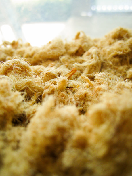 肉丝干猪肉的特写图片下载