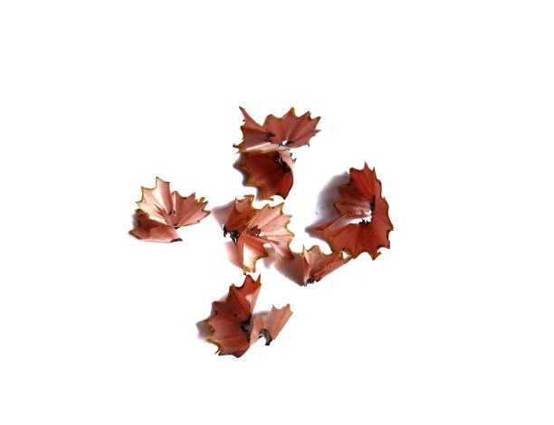 白色背景上的铅笔屑返校概念图片下载