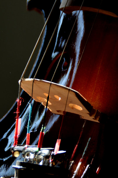 小提琴的弦图片下载