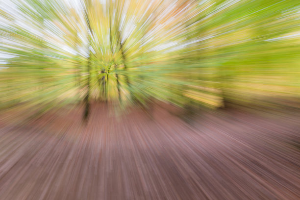 秋天的森林在一个晴朗的日子。抽象的照片。彩色纹理背景。长快门速度。图片下载