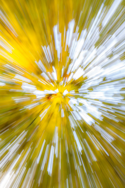 秋天的森林在一个晴朗的日子。抽象的照片。彩色纹理背景。长快门速度。图片下载