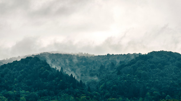 雾蒙蒙天空下的绿色森林山脉背景图片下载