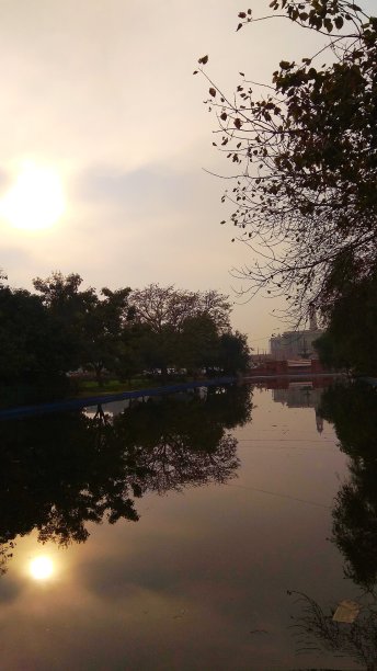 阳光在河里的反射图片下载