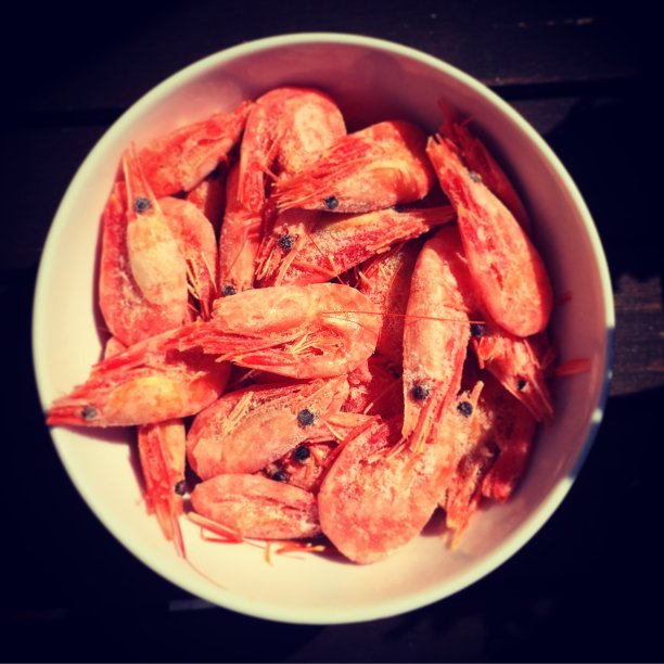 白碗未去皮的大虾图片下载