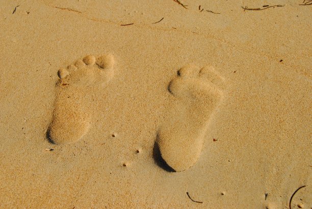 平行的足迹图片下载