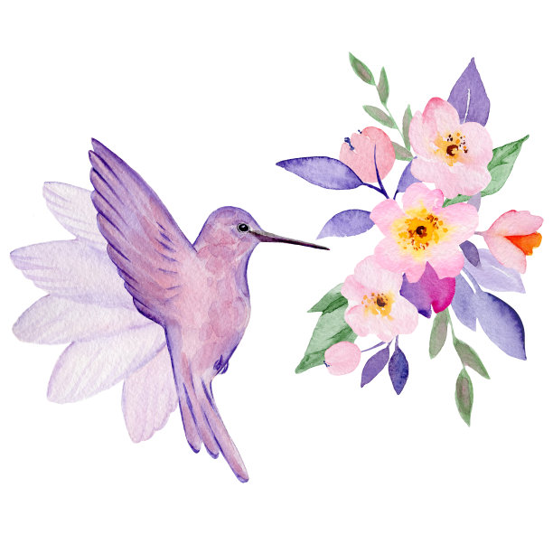 可爱的水彩手绘插图花和鸟孤立在白色的背景，情人节贺卡，婚礼卡，浪漫的印刷品和剪贴簿。图片下载