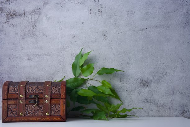 一个古老美丽的木制箱子贵重物品，灵感与植物图片下载
