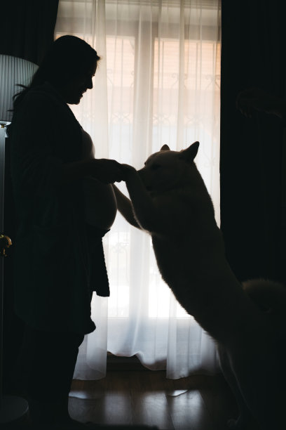 孕妇与狗的剪影图片下载