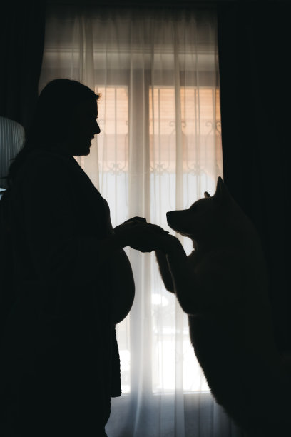 孕妇与狗的剪影图片下载