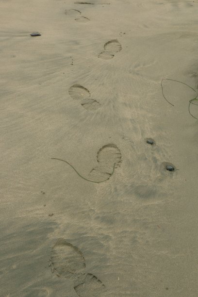 的足迹图片下载