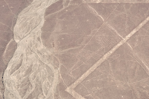 纳斯卡线条图片下载