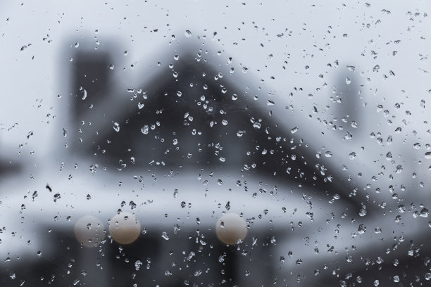 落在窗户上图片下载