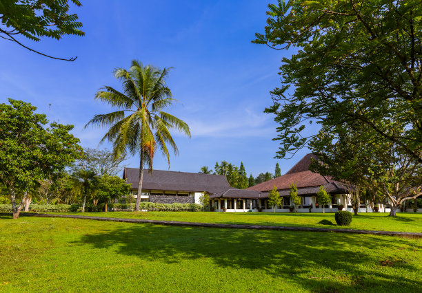 在印度尼西亚爪哇岛婆罗浮屠寺附近的公园图片下载