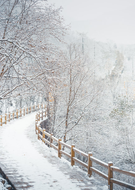 中国四川九寨沟黄龙雪景自然风光图片下载