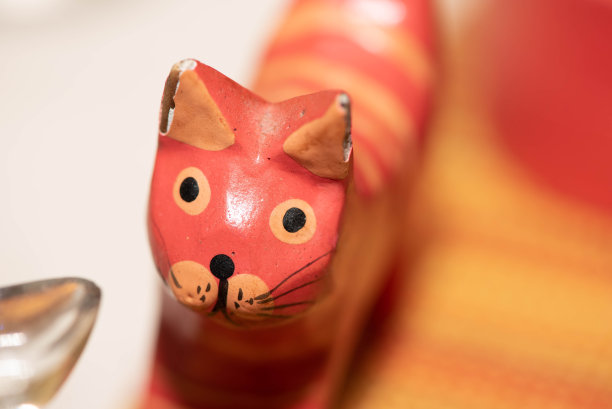 橙色的猫图片下载