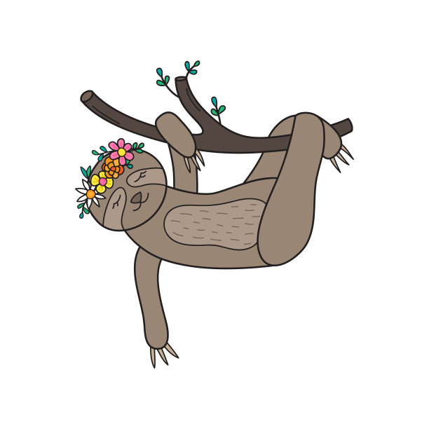 可爱的挂懒惰图片下载