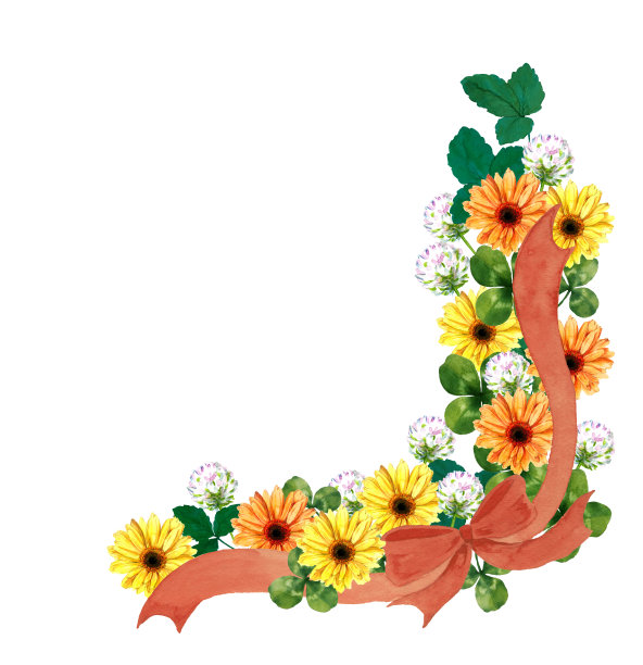 雏菊和缎带的水彩插图图片下载