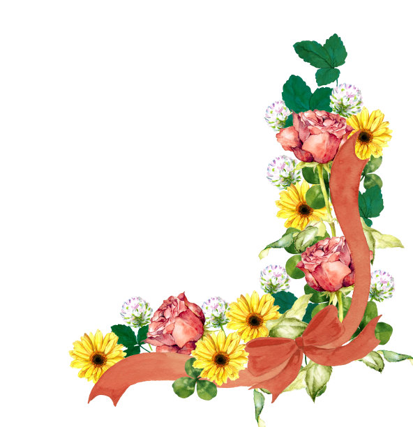 玫瑰和雏菊花图片下载