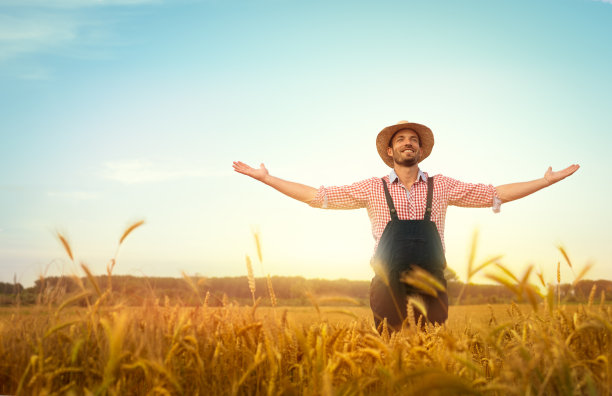 田野里的农民图片下载