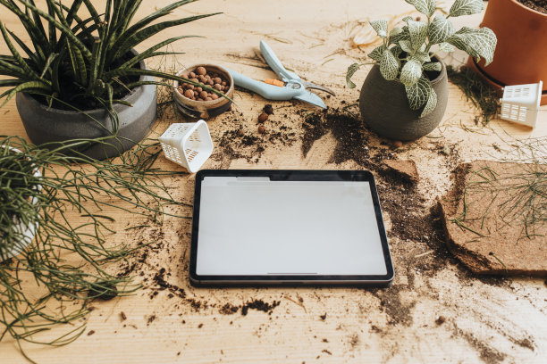 一个平板的头顶视图与复制空间之间放置园艺工具和植物图片下载