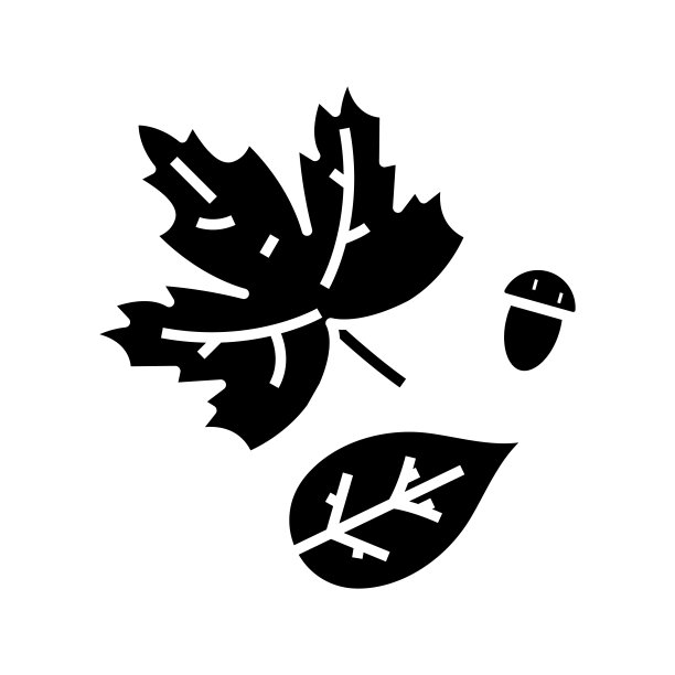 森林叶黑色图标，概念插图，矢量平面符号，象形符号图片下载