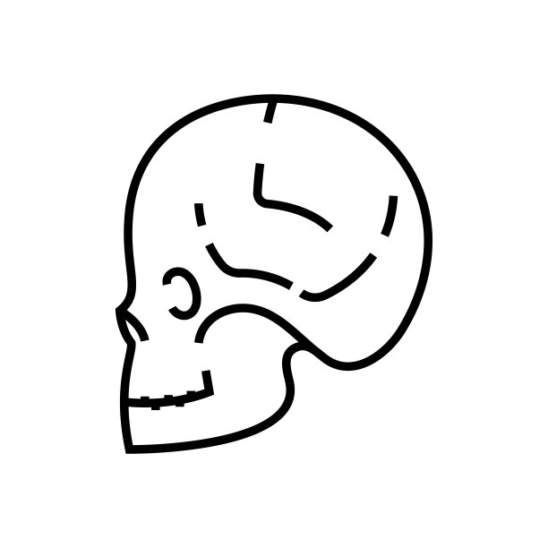 颅骨诊断线图标、概念符号、轮廓矢量图、线性符号图片下载