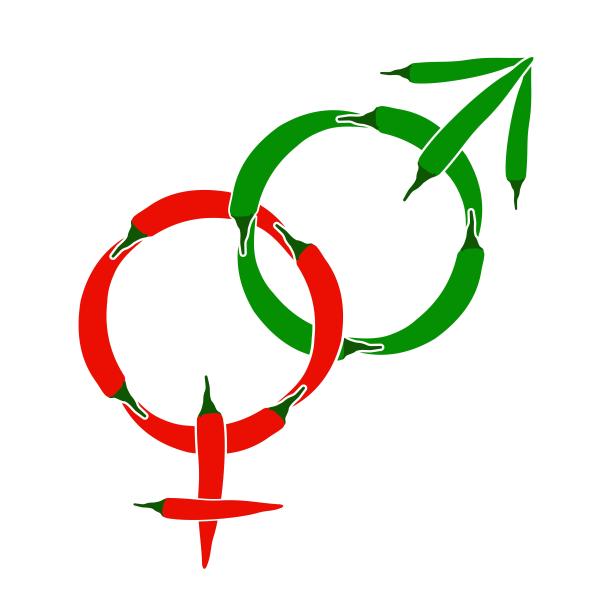 男青椒女。红绿辣椒矢量插图图片下载