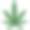 大麻或大麻植物图片下载