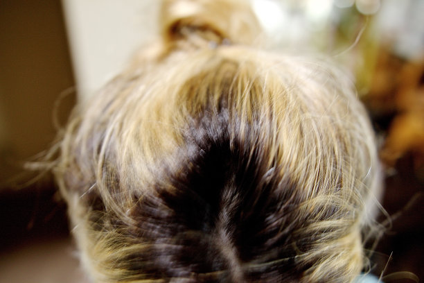 深色头发的根图片下载