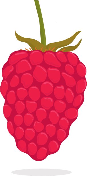 覆盆子孤立图片下载