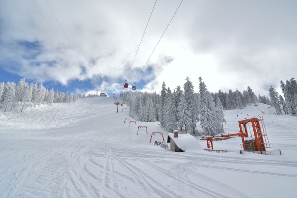 在著名的滑雪胜地波亚纳布拉索夫，白雪覆盖的森林和红色的缆车正在向上移动图片下载