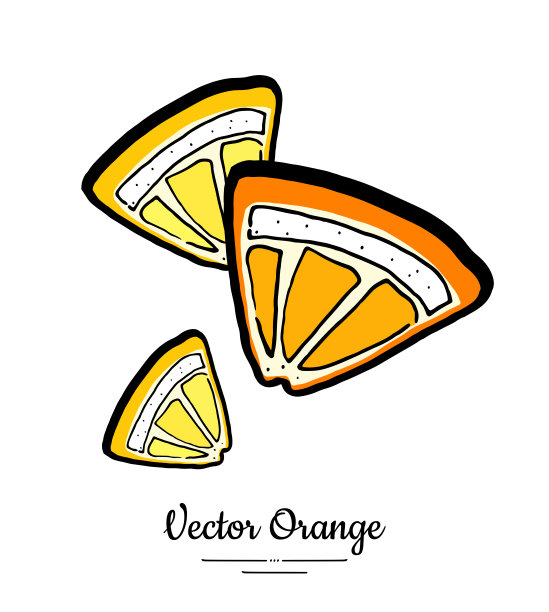 橙子柠檬四分之一片集向量孤立。橙子切成片，葡萄柚柠檬片。水果手绘柑橘类食品图片下载