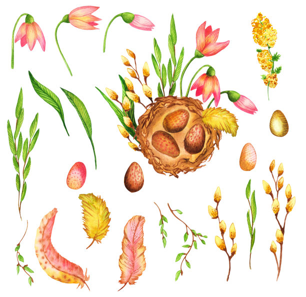 一套春天的水彩画:巢里有蛋，用花朵、树叶、羽毛和小树枝装饰。复古季节假日组合孤立在白色背景。贺卡，礼物和复活节。图片下载